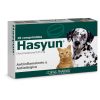 Hasyun